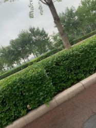 -HEYAN长风荷妍专业脱毛美肤
