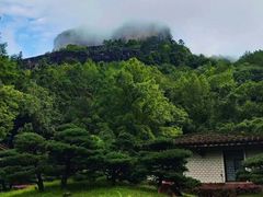 -武夷山风景名胜区-玉女峰