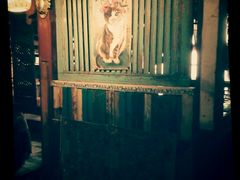 -壹六猫窝(谷德店)