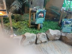 -绿色星球动物主题公园
