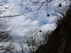-王顺山国家森林公园