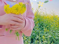 -瑶湖郊野森林公园