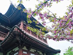 -西安青龙寺遗址景区
