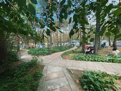 -黑龙江省森林植物园