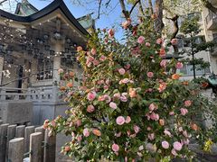 -难波八坂神社