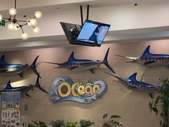 -贝林大翅鲸简餐厅(国家海洋博物馆店)