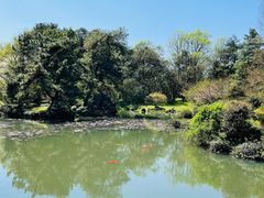 -杭州植物园