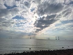 -宝安西湾红树林湿地公园