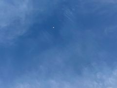 -不倒翁·徽天下名菜楼(马鞍山路店)