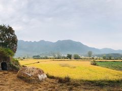 -黟县屏山村