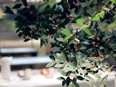 -青山研究所Aoyama Lab