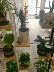 -一个差评成就的纹眉店