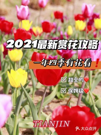 建议收藏｜天津超全赏花攻略️一年四季有花看️