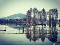 -东湖食堂·湖景餐厅•会议