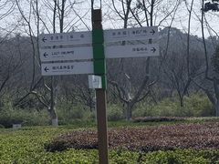 -宜兴龙背山森林公园
