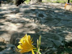 -姚家山旅游风景区