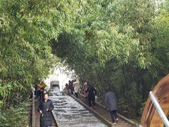 -祥源·阜阳生态乐园