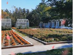-黑龙江省森林植物园