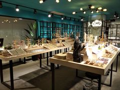 -Trend1881视光·蔡司视觉(领展广场店)