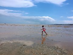 -南汇嘴观海公园