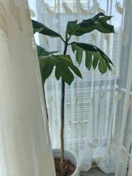 -HEYAN荷妍专业脱毛连锁机构