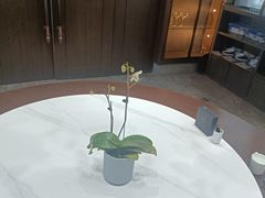 -酒蜻蜓·庭院私房菜(天元东路店)