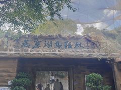 -燕塞湖鸟语林景区