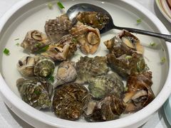大拌红岛海螺-开海·红岛海鲜虾水饺(石老人店)