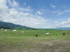 -新疆那拉提国家旅游度假区