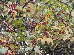 -西安市长乐公园