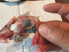 -枫千叶精致料理