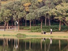 -东莞植物园
