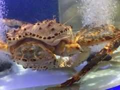 -利客来李村购物中心