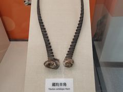 -太原动物园