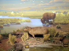 -陕西自然博物馆