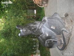 -紫竹院公园冰场