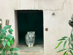 -青藏高原野生动物园