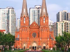 -上海共青森林公园