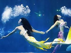 -西安曲江海洋极地公园