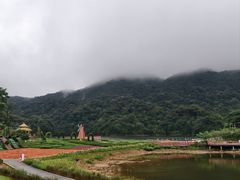 -广州市石门国家森林公园