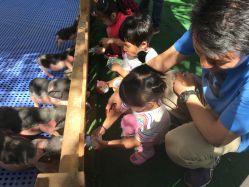 -萌宠亲子动物乐园(槐房万达店)