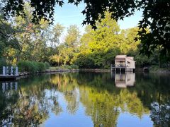 -上海共青森林公园