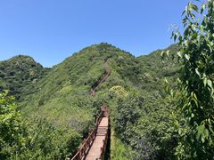 -大岭沟猕猴桃谷风景区