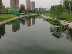 -坝河休闲公园