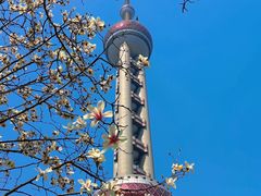 -东方明珠广播电视塔