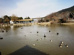 -无锡动物园·太湖欢乐园