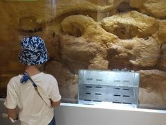 -上海昆虫博物馆