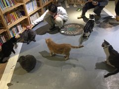 -小时光咖啡馆(开森度假森林店)