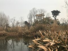 -桤木河湿地公园