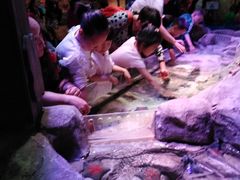 -沈阳海洋探索中心